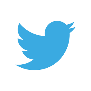 300px-twitter_birdsvg.png